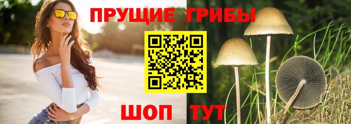 Псилоцибиновые грибы мицелий Мичуринск