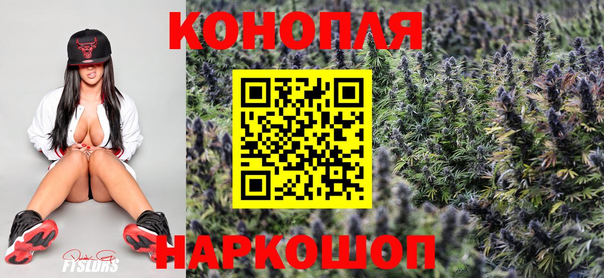 Канабис планчик  Вход с VPN  Канабис тримм  Марихуана AK-47  Мичуринск 